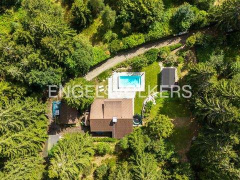 Feldberg Falkau Häuser, Feldberg Falkau Haus kaufen