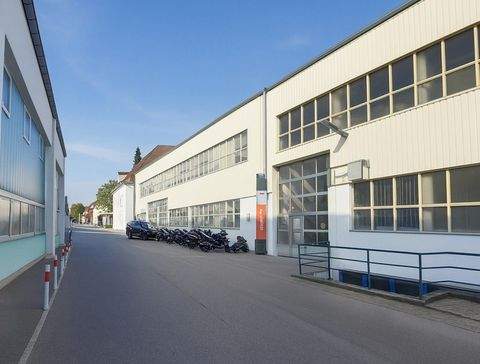 München Halle, München Hallenfläche