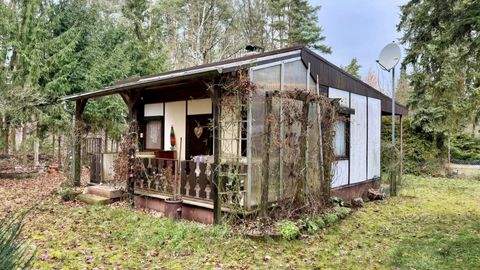 Radeburg Grundstücke, Radeburg Grundstück kaufen