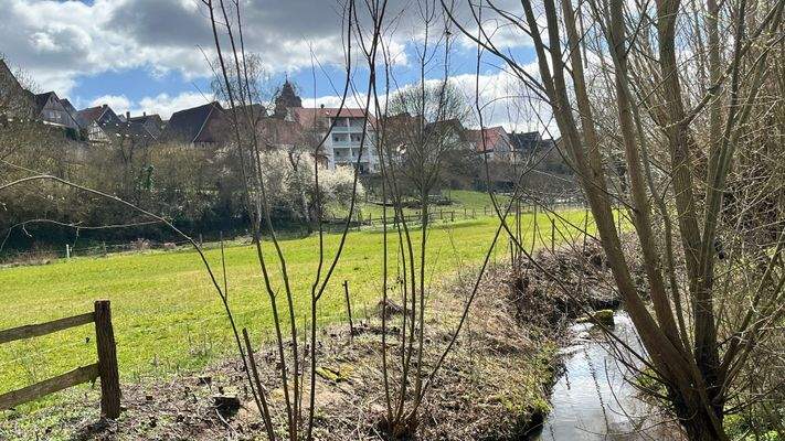 Sicht aufs Haus .jpg