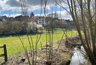 Sicht aufs Haus .jpg