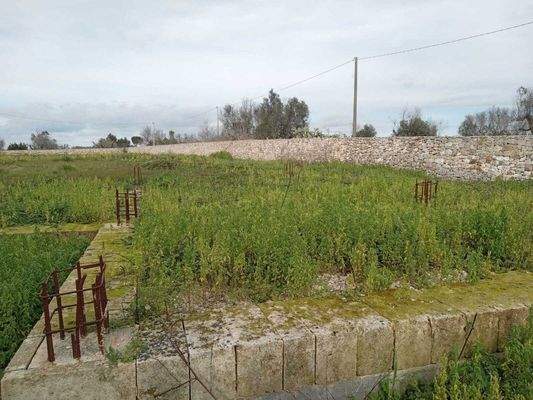 Masseria li Rizzi in Copertino (Lecce)