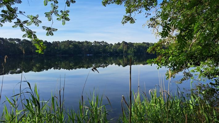 Blick auf den See