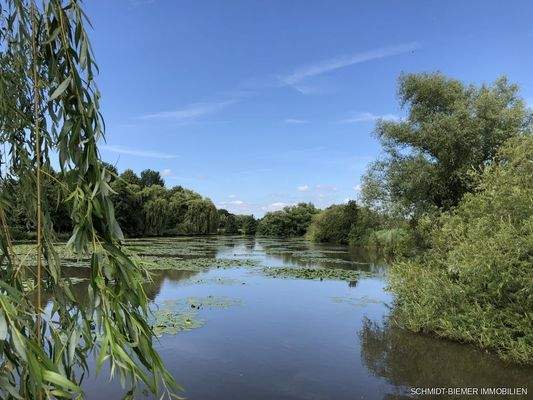Der Mühlenteich vor der Haustür