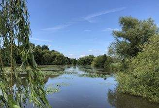 Der Mühlenteich vor der Haustür