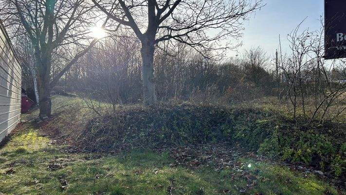 Aufgeschütteter Erdwall am Grundstücksrand linksseitig