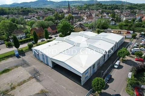 Eichstetten Halle, Eichstetten Hallenfläche