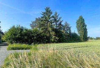 Blick aufs Grundstück