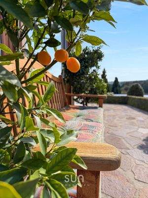 IHRE RUHIGE TRAUMLAGE