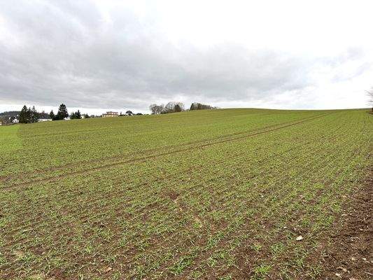 3505 B - Grundstücksaussicht nach Westen