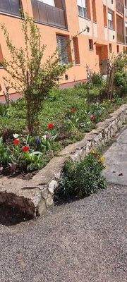 Vor dem Haus gepflegt
