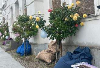 Außenansicht Circus 8