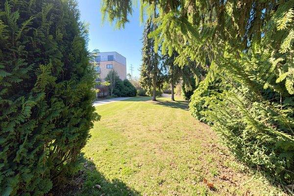 Hinterer Teil des Grundstücks mit Blick zum Vorderhaus