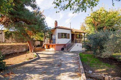Rodolivos, Serres Häuser, Rodolivos, Serres Haus kaufen