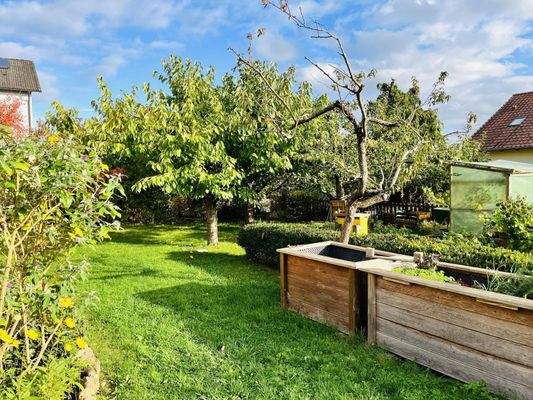 von viel Grün umgeben... die ebene Gartenfläche mit gewachsenem Baum- und Strauchbestand