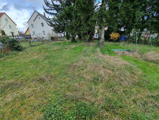 WhatsApp Bild 2024-04-03 um 12.17.39_f5a1dbc7.jpg