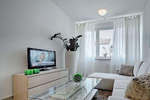 453981139_1146250196432296_5639713034493160465_n.j