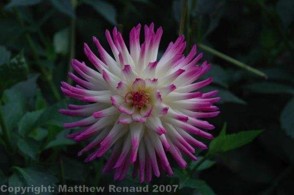 Bild 33