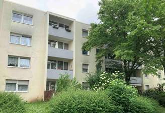 Hausrückseite, Balkone, umgeben von Grünflächen mit Bäumen