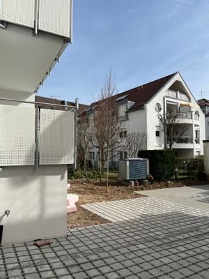 IMG_3567.jpg