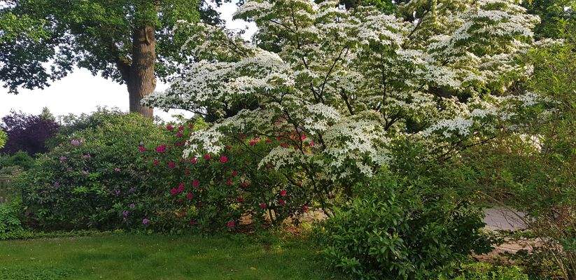 Impression aus dem Sommer