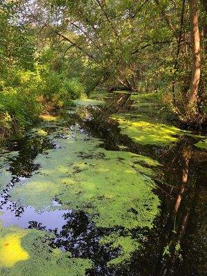 WhatsApp Image 2024-07-24 at 13.01.59 (3)