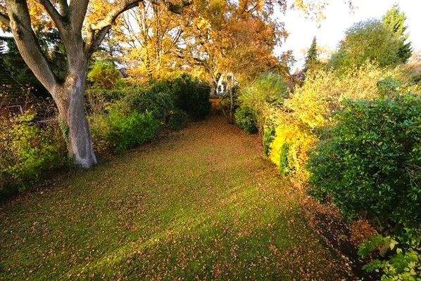 Blick in den Garten.jpeg