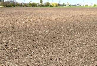 Gewerbe-Bauerwartungsland