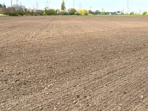 Hürth / Kalscheuren Bauernhöfe, Landwirtschaft, Hürth / Kalscheuren Forstwirtschaft