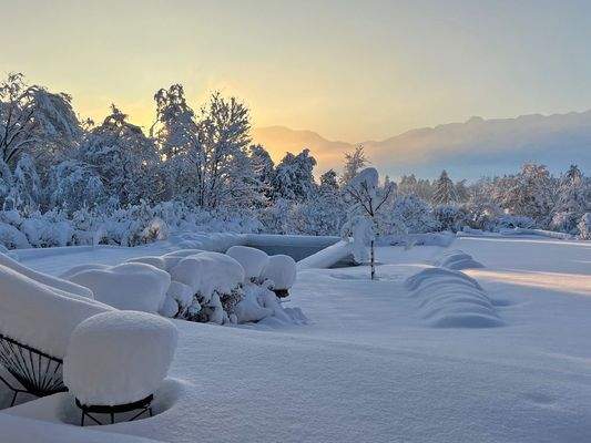 Winterimpressionen Garten