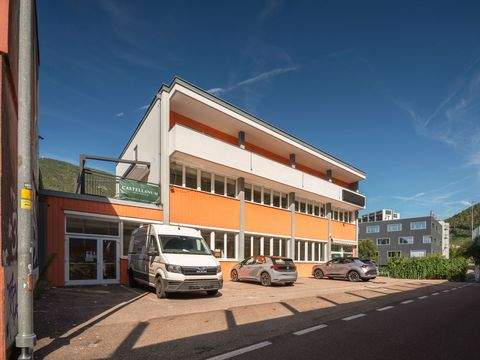 Bolzano Halle, Bolzano Hallenfläche