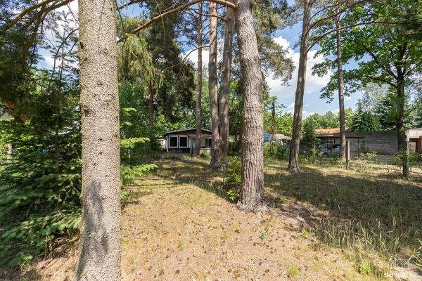 Das linke Grundstück