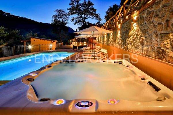 Screenshot 2023-07-24 154203.jpg