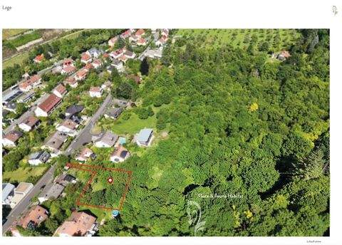 Steinbachtal Grundstücke, Steinbachtal Grundstück kaufen