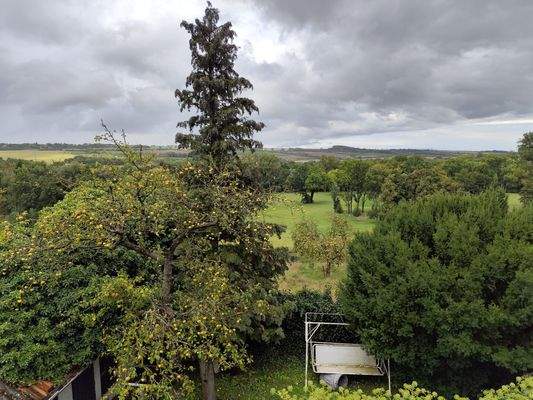 Sicht in den Tiefurter Park