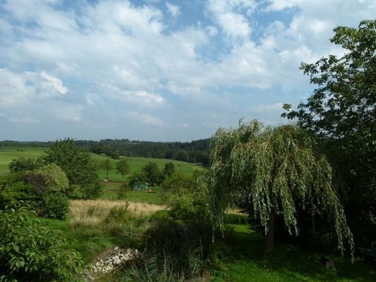 Fernblick
