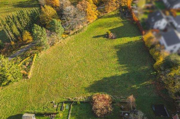 Angrenzende Wiesengrundstück