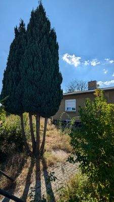 Kleines Haus, Abriss empfohlen