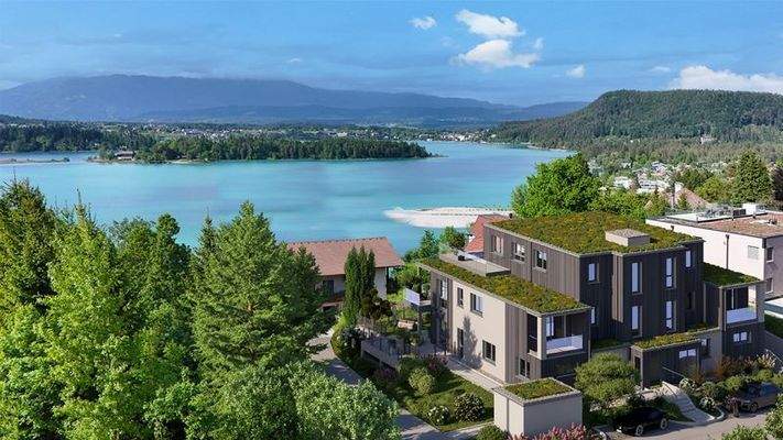 Käfer-Haus Rückseite