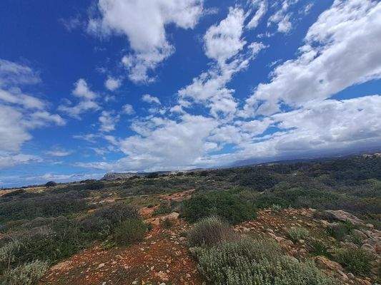 Kreta, Skaleta: Riesiges Grundstück zum Verkauf - ideal für touristische Investitionen!