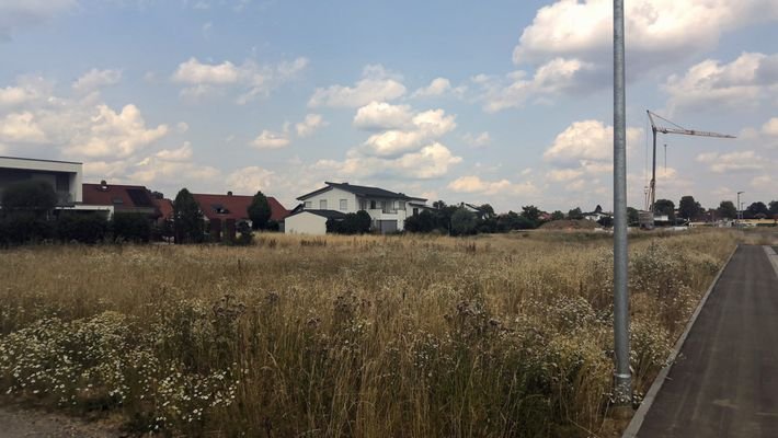 Blick nach Osten in Erschließungsstraße 