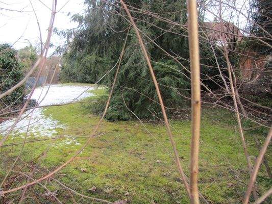 Die großzügige Rasenfläche