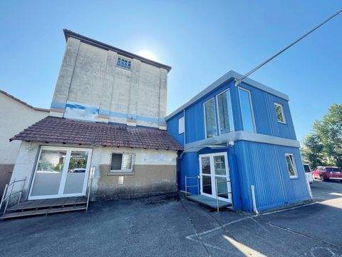 Schopfheim Halle, Schopfheim Hallenfläche