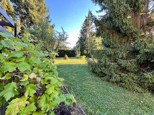 Außenaufnahme Blick in den Garten