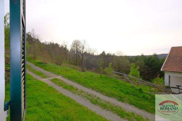 rif 1504(Copy34).jpg