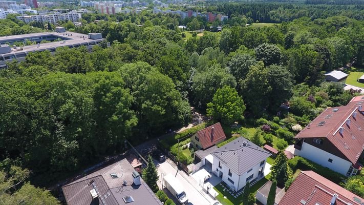 Truderinger Wald