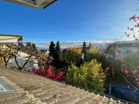 Konstanz Wohnungen, Konstanz Wohnung mieten