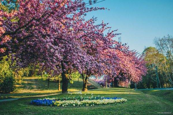 Fotó www.zalakaros.hu.jpg