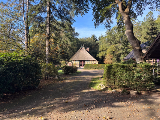 Blick von der Zufahrt auf das Grundstück