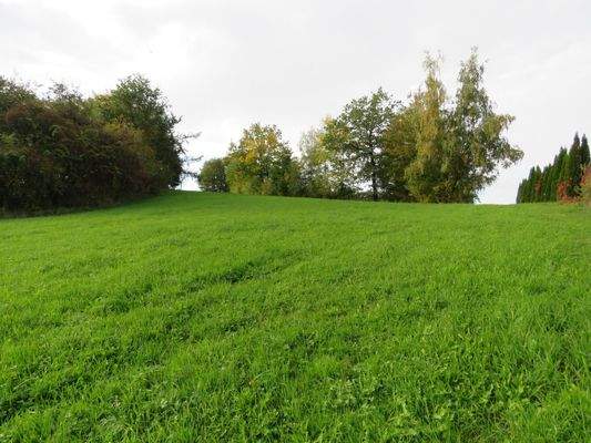 östlicher Grundstücksteil 